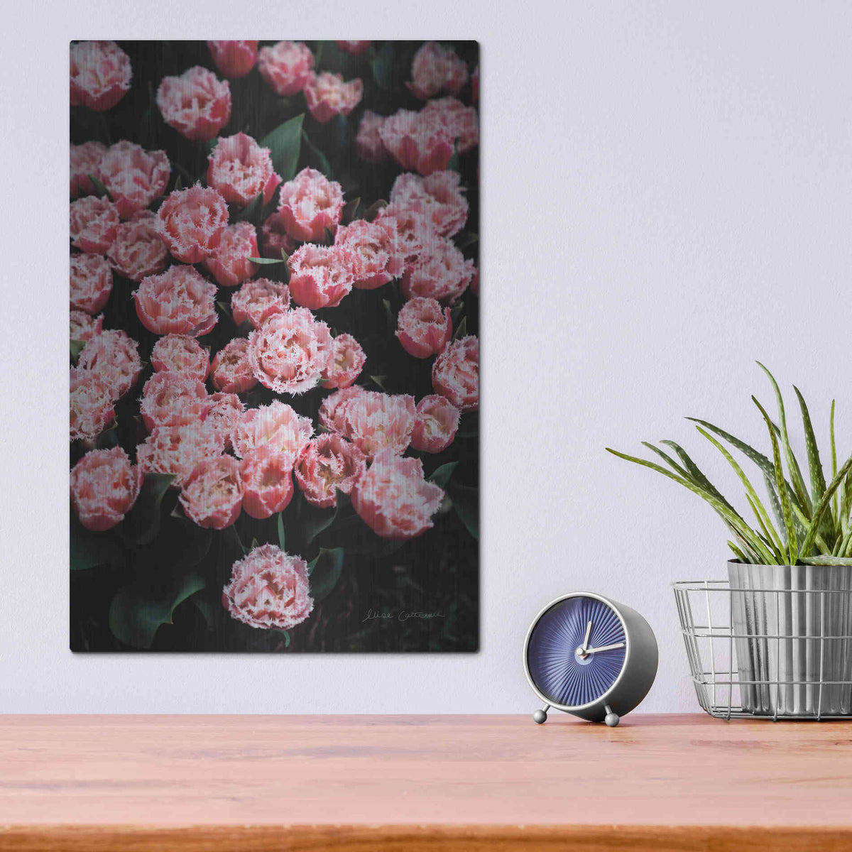 Luxe Metal Art 'Fringed Tulips' by Elise Catterall, Metal Wall Art,12x16