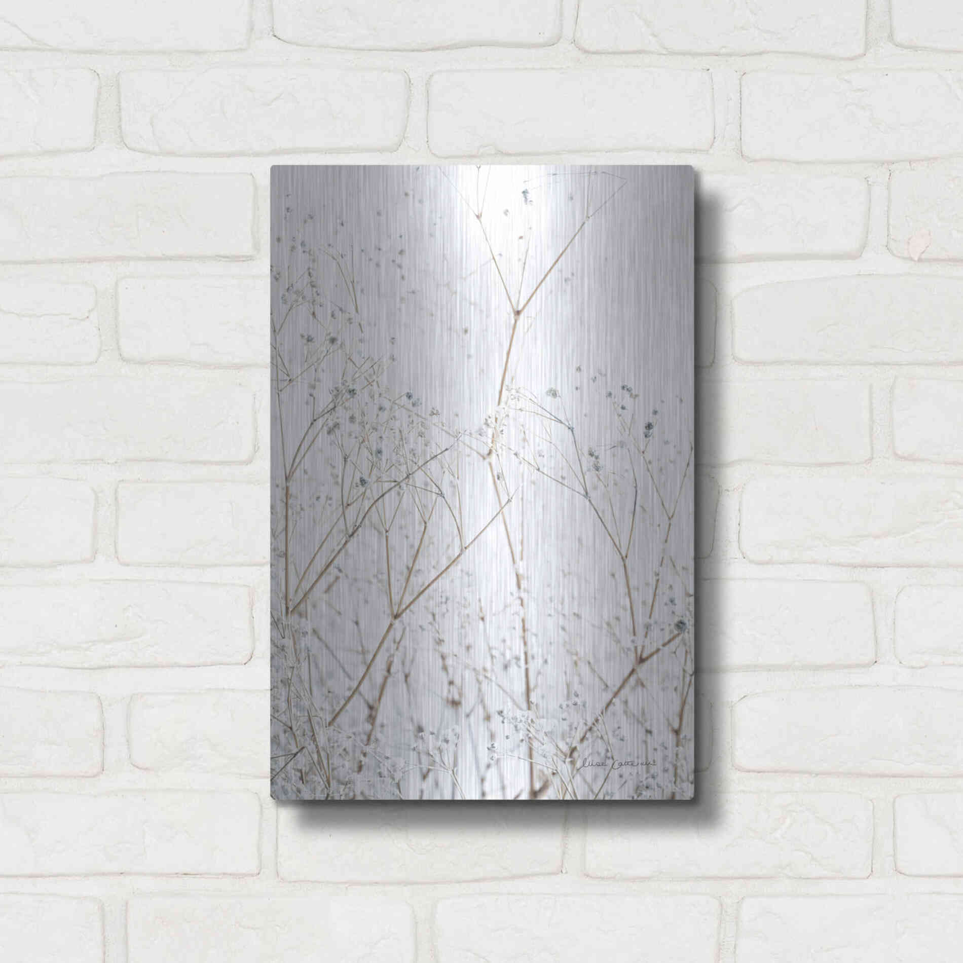 Luxe Metal Art 'Gypsophila' by Elise Catterall, Metal Wall Art,12x16