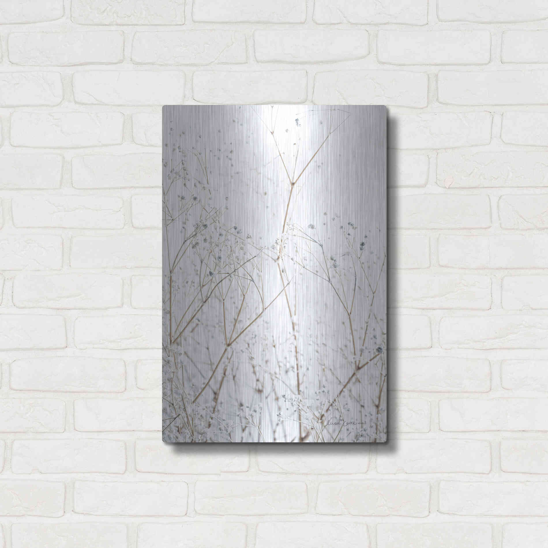 Luxe Metal Art 'Gypsophila' by Elise Catterall, Metal Wall Art,16x24