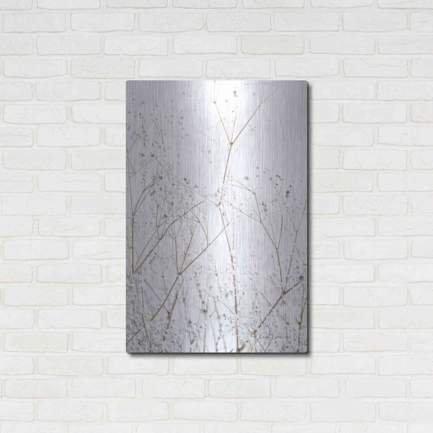 Luxe Metal Art 'Gypsophila' by Elise Catterall, Metal Wall Art,24x36