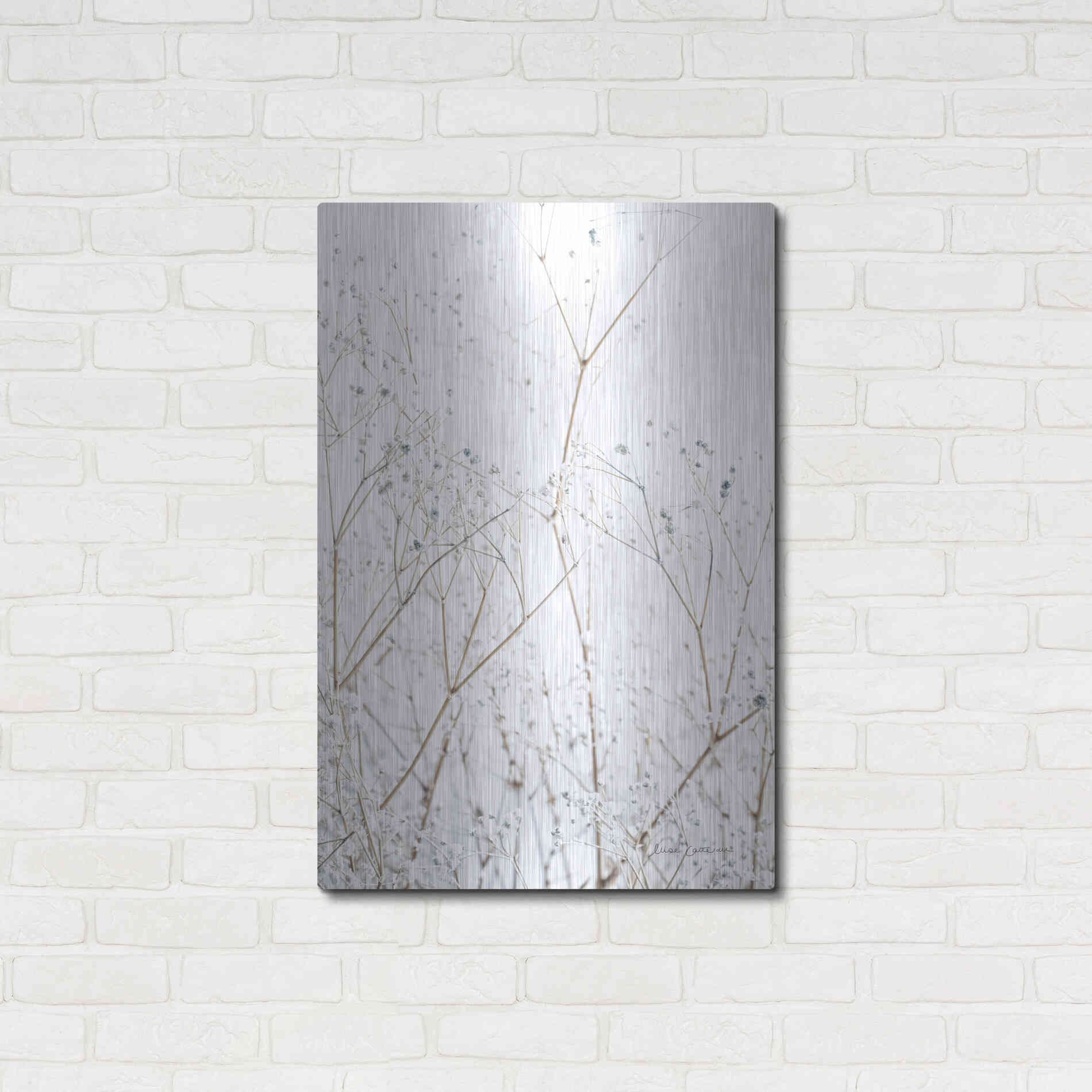 Luxe Metal Art 'Gypsophila' by Elise Catterall, Metal Wall Art,24x36