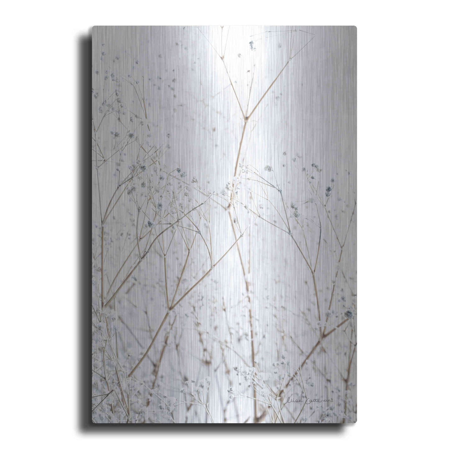 Luxe Metal Art 'Gypsophila' by Elise Catterall, Metal Wall Art