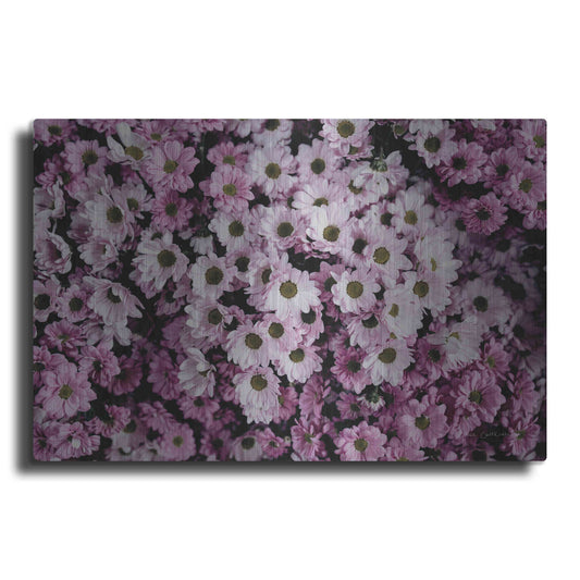 Luxe Metal Art 'Pale Daisies' by Elise Catterall, Metal Wall Art