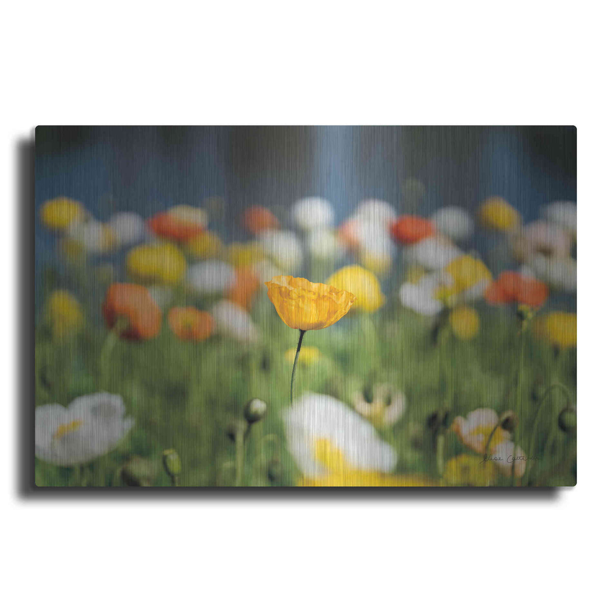 Luxe Metal Art 'Poppy Field' by Elise Catterall, Metal Wall Art