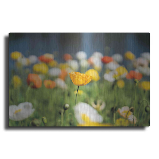 Luxe Metal Art 'Poppy Field' by Elise Catterall, Metal Wall Art