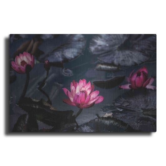 Luxe Metal Art 'Waterlilies' by Elise Catterall, Metal Wall Art