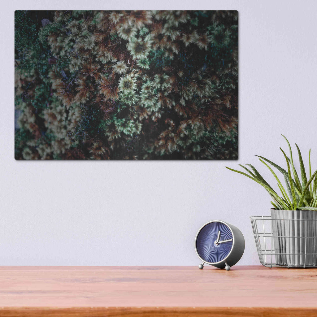 Luxe Metal Art 'Moss Detail' by Elise Catterall, Metal Wall Art,16x12