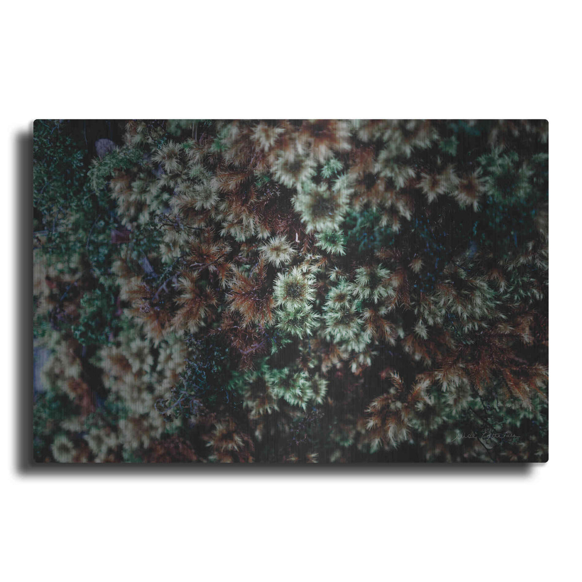 Luxe Metal Art 'Moss Detail' by Elise Catterall, Metal Wall Art