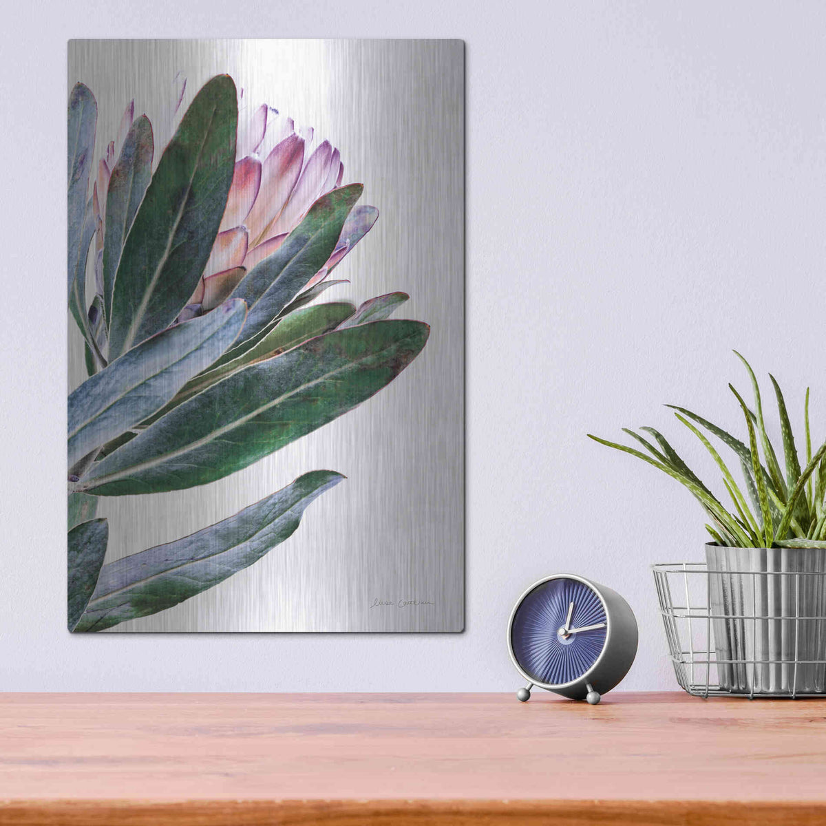 Luxe Metal Art 'Protea in Leaf' by Elise Catterall, Metal Wall Art,12x16