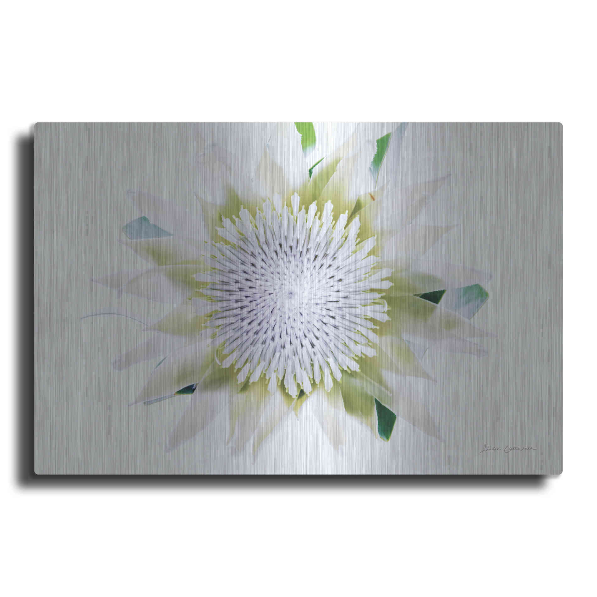 Luxe Metal Art 'Protea Center I' by Elise Catterall, Metal Wall Art