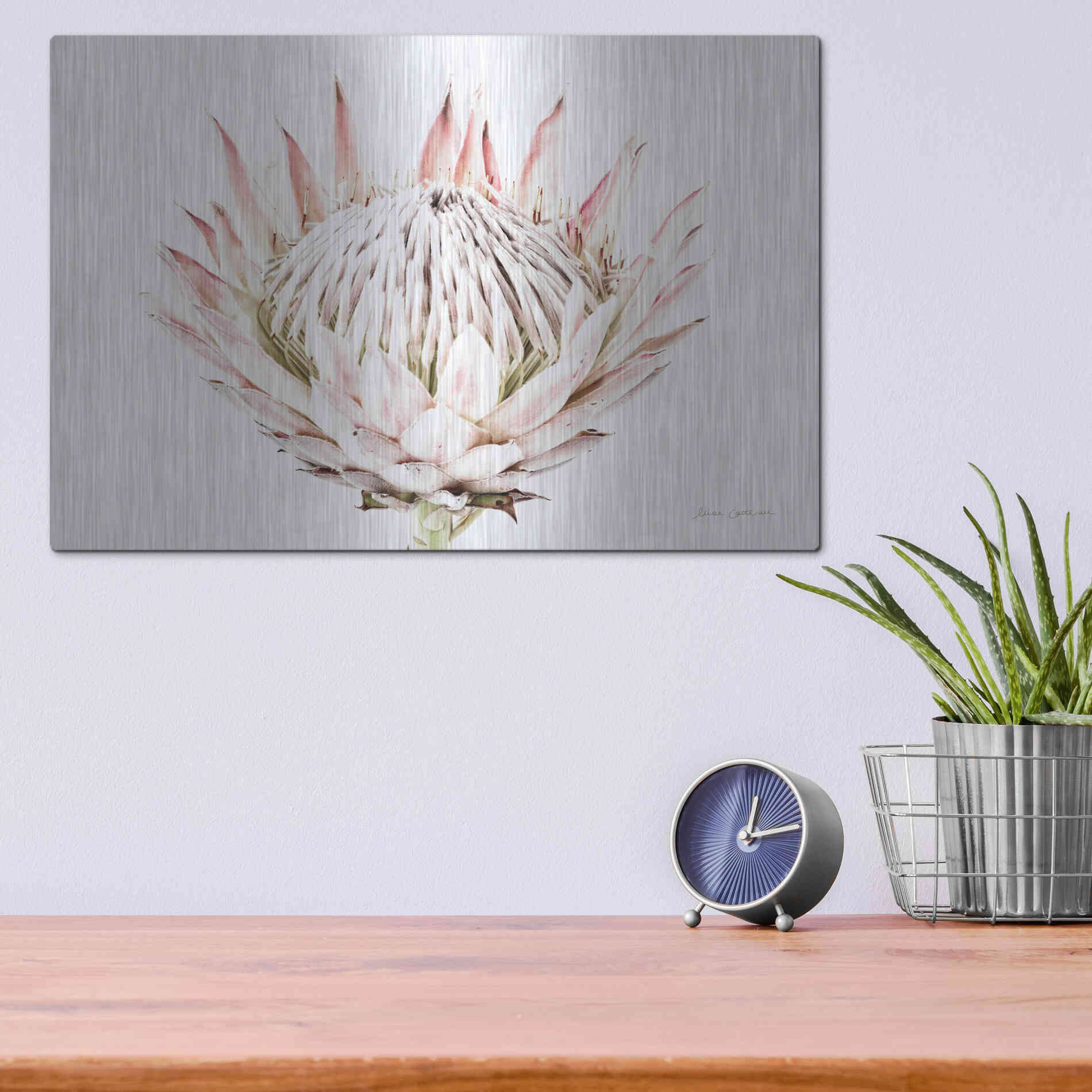 Luxe Metal Art 'Pastel Protea I' by Elise Catterall, Metal Wall Art,16x12