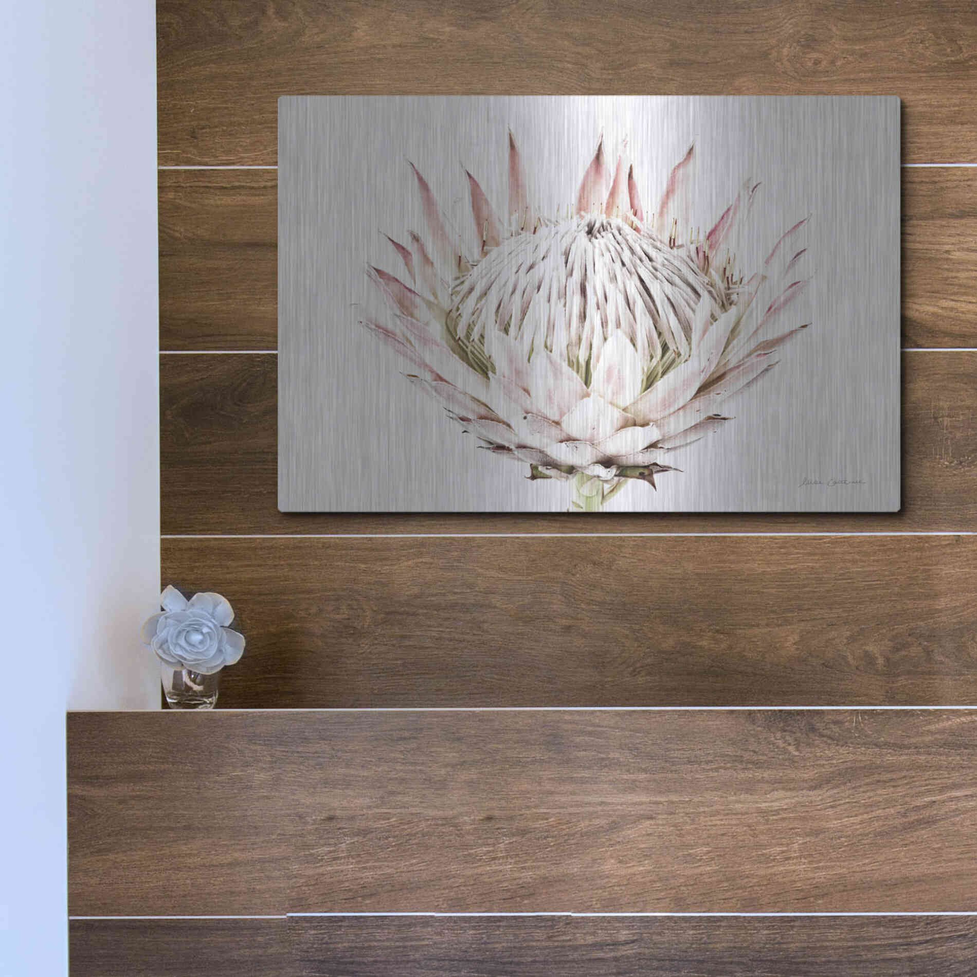 Luxe Metal Art 'Pastel Protea I' by Elise Catterall, Metal Wall Art,16x12