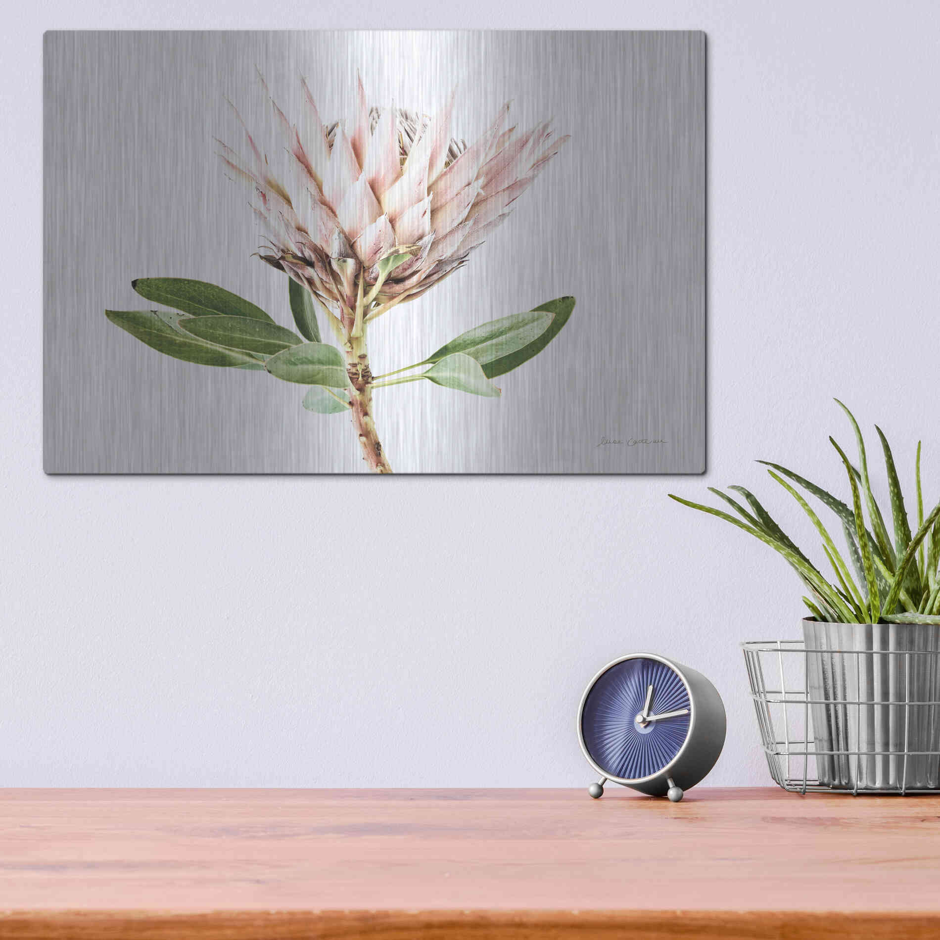 Luxe Metal Art 'Pastel Protea II' by Elise Catterall, Metal Wall Art,16x12