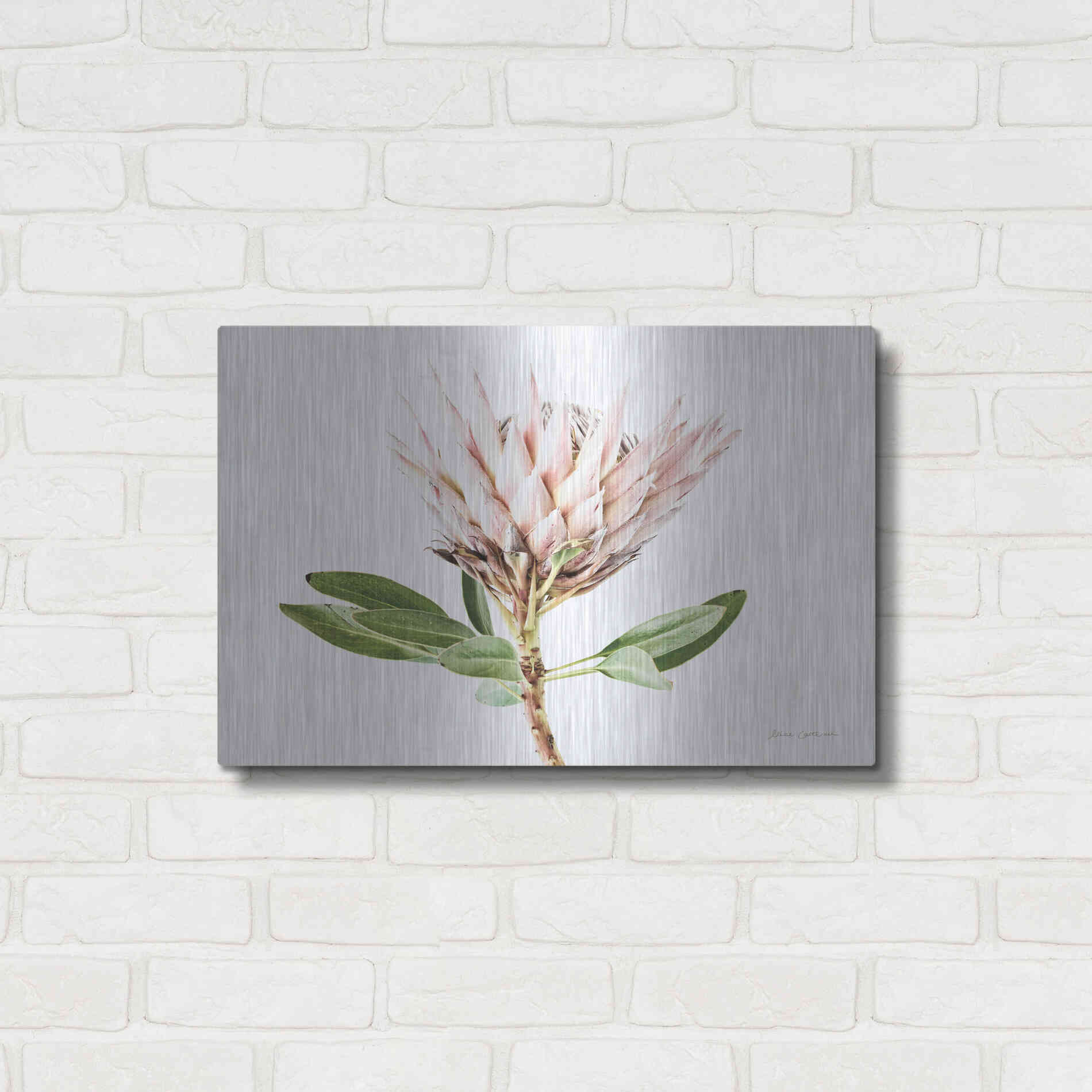 Luxe Metal Art 'Pastel Protea II' by Elise Catterall, Metal Wall Art,24x16