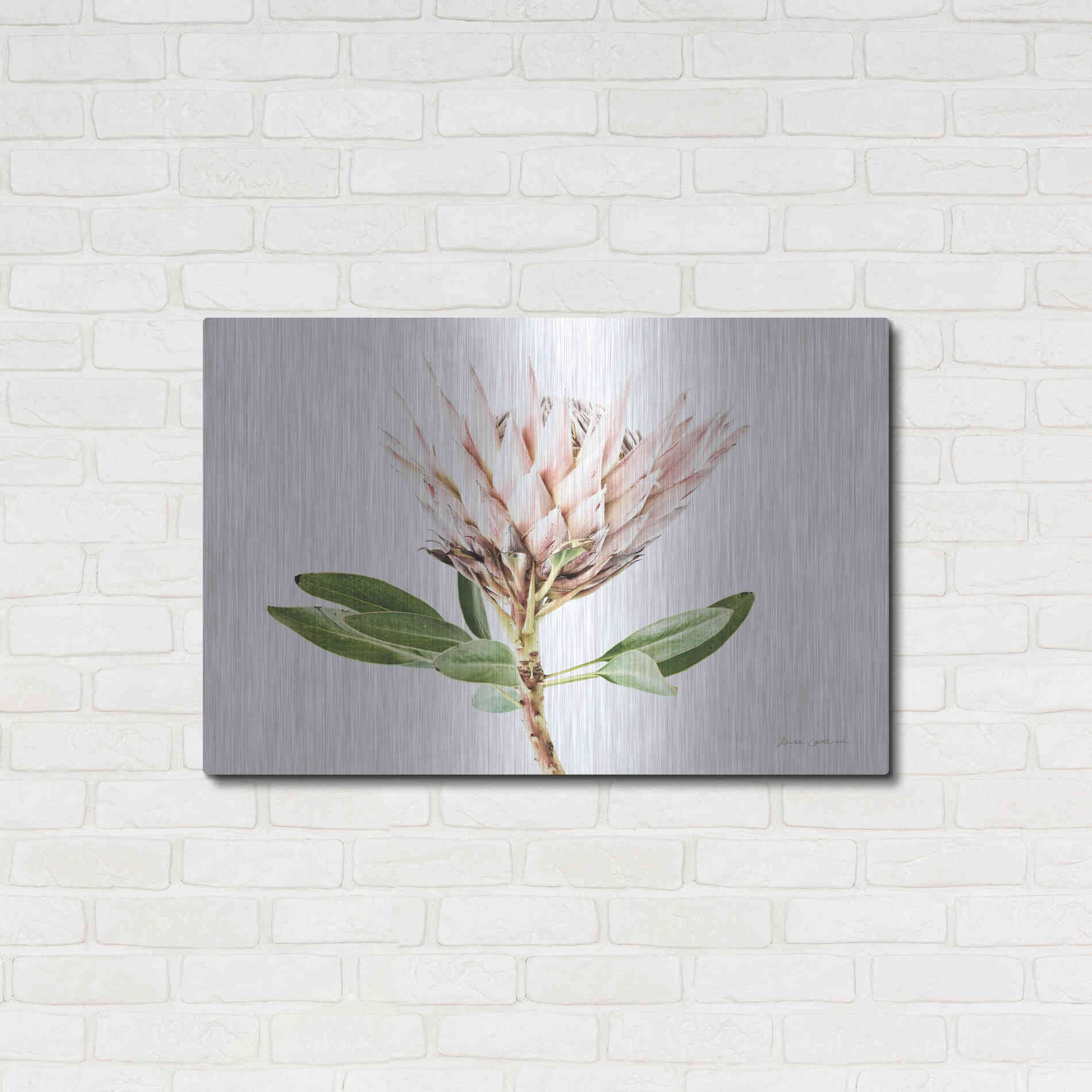 Luxe Metal Art 'Pastel Protea II' by Elise Catterall, Metal Wall Art,36x24