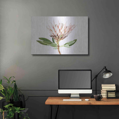 Luxe Metal Art 'Pastel Protea II' by Elise Catterall, Metal Wall Art,36x24