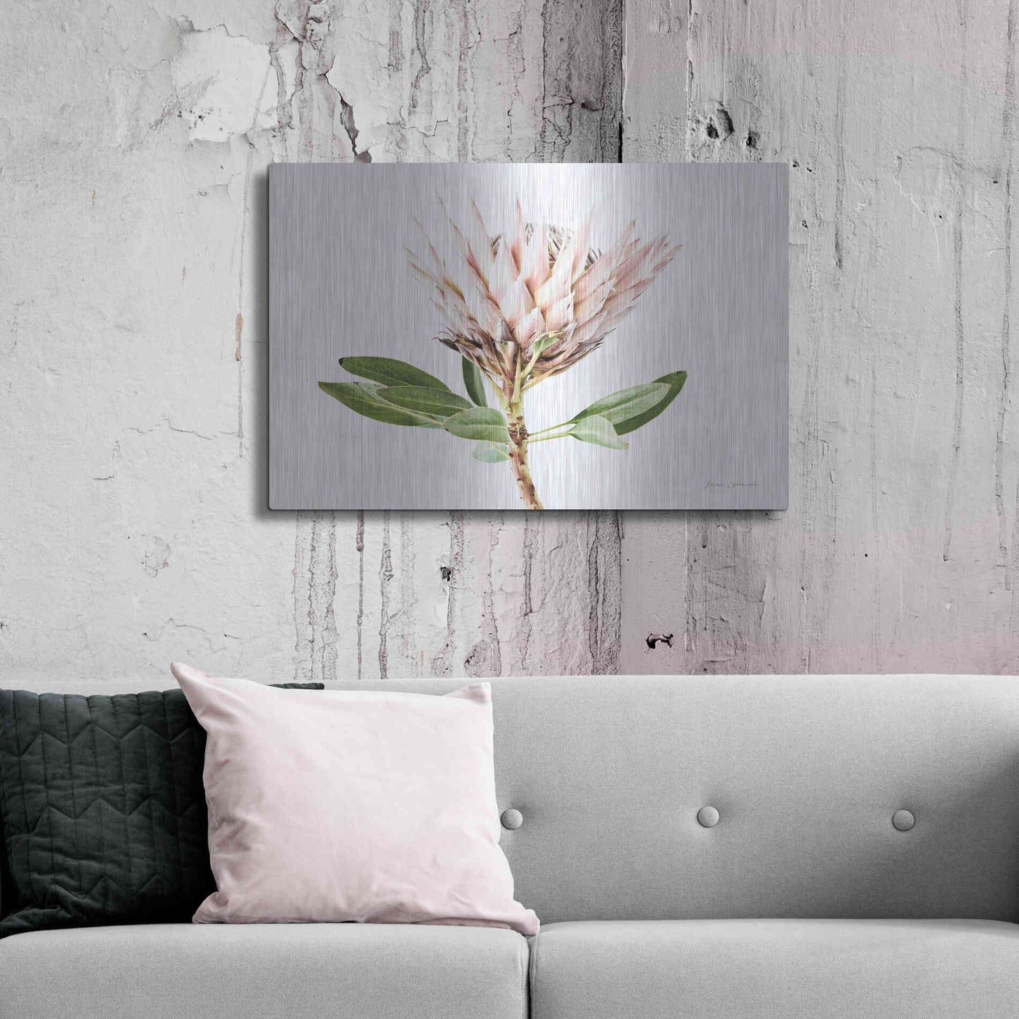 Luxe Metal Art 'Pastel Protea II' by Elise Catterall, Metal Wall Art,36x24