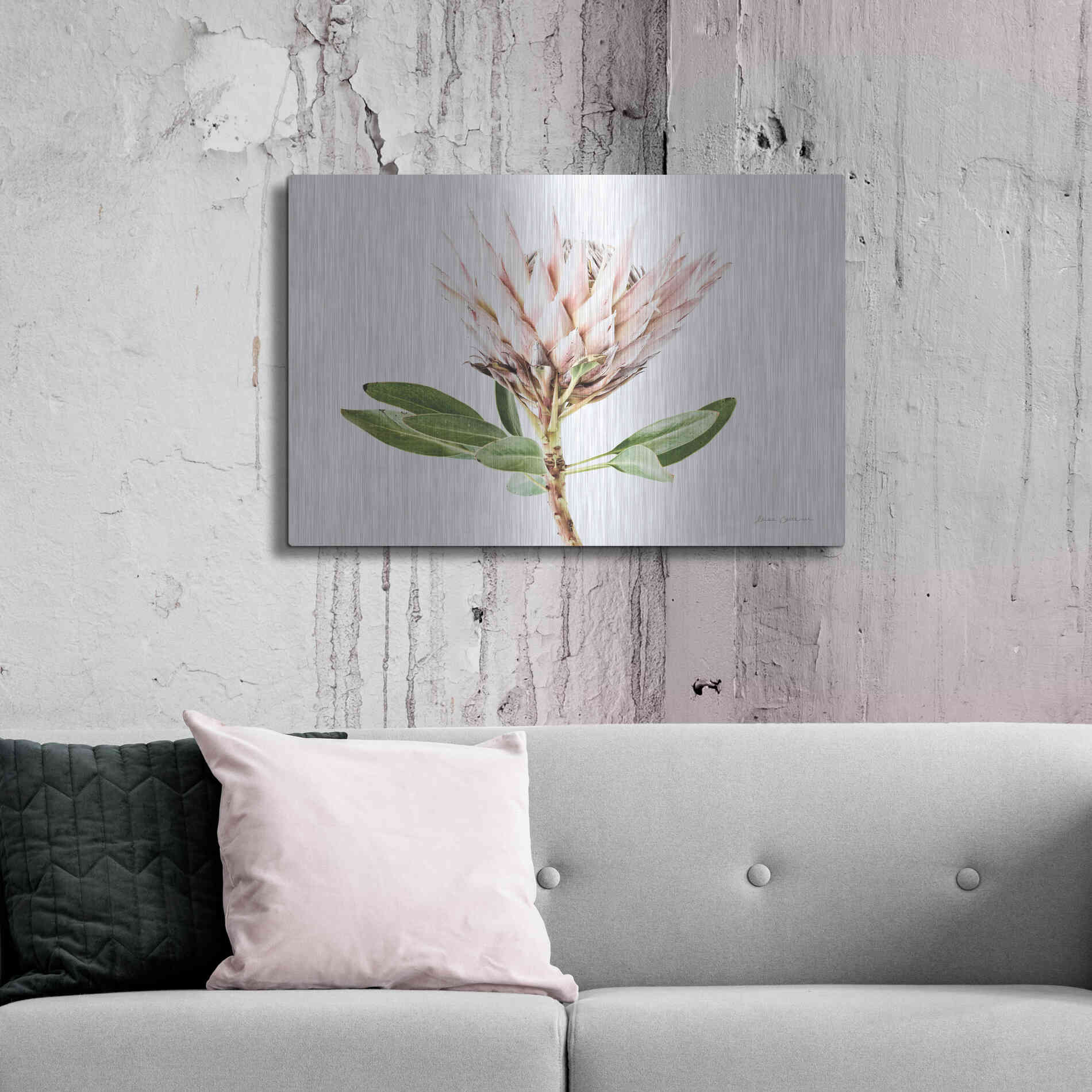 Luxe Metal Art 'Pastel Protea II' by Elise Catterall, Metal Wall Art,36x24