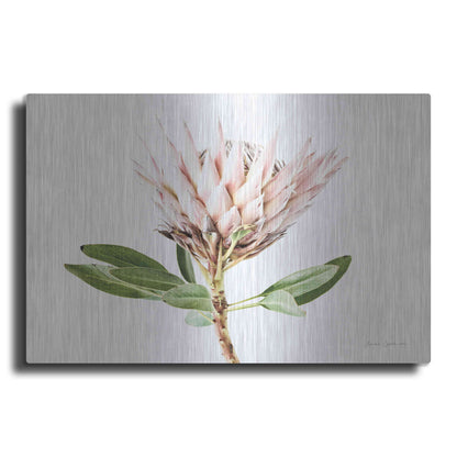 Luxe Metal Art 'Pastel Protea II' by Elise Catterall, Metal Wall Art