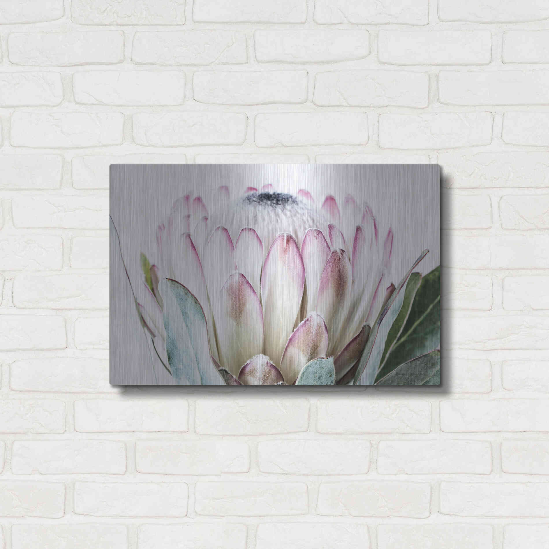 Luxe Metal Art 'Pale Protea Detail I' by Elise Catterall, Metal Wall Art,24x16