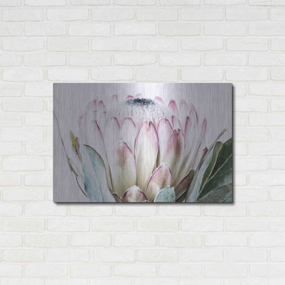 Luxe Metal Art 'Pale Protea Detail I' by Elise Catterall, Metal Wall Art,36x24