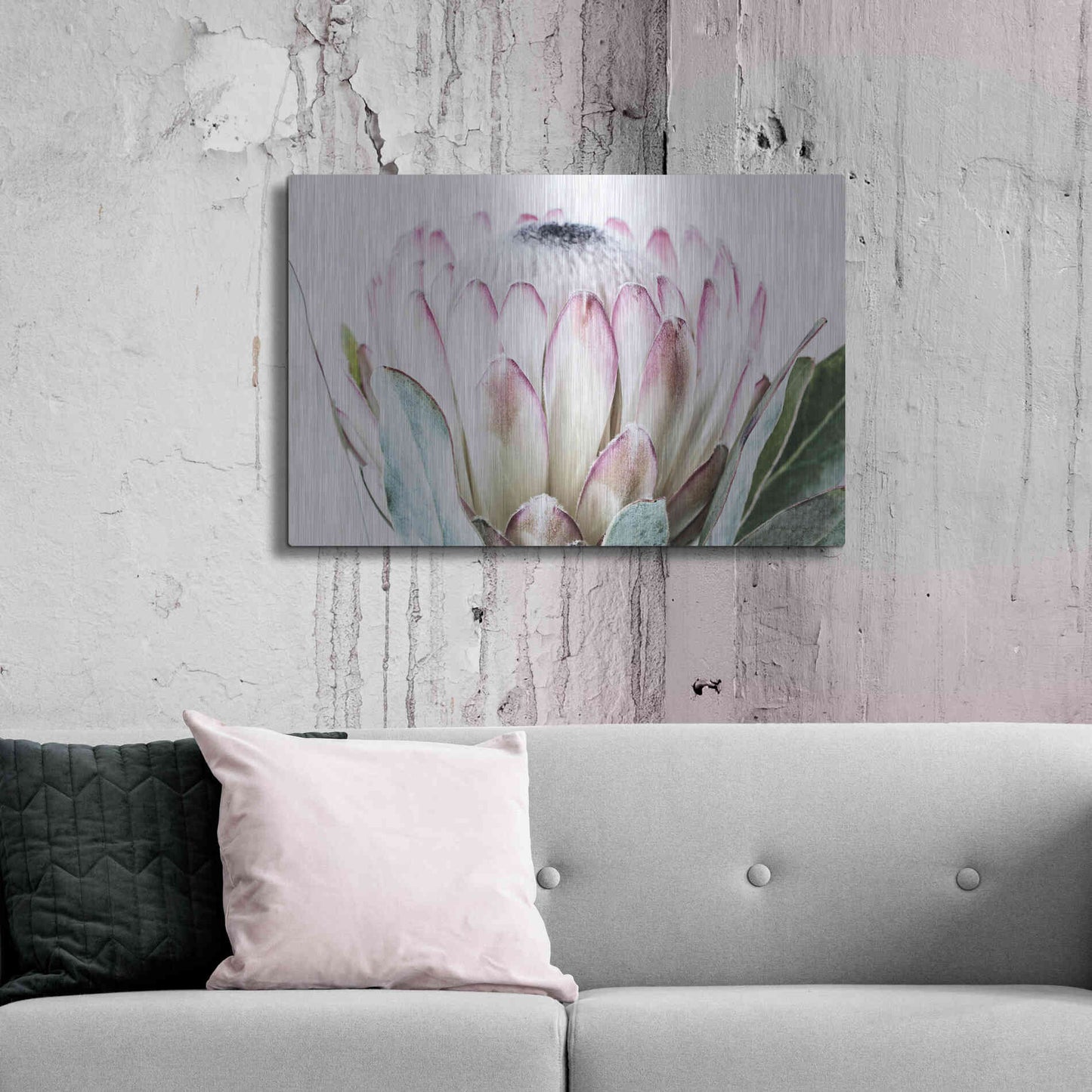 Luxe Metal Art 'Pale Protea Detail I' by Elise Catterall, Metal Wall Art,36x24