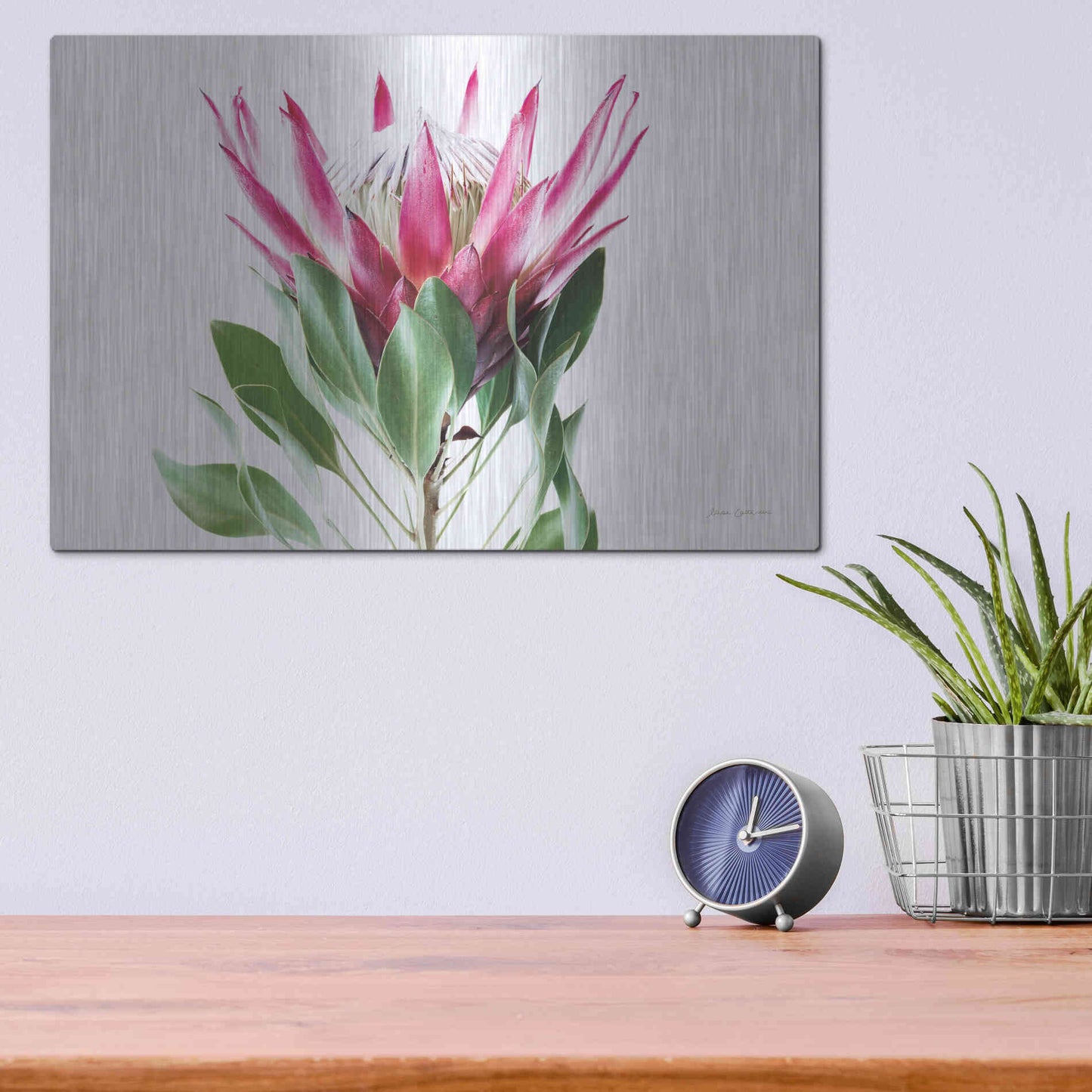 Luxe Metal Art 'Bold Protea I' by Elise Catterall, Metal Wall Art,16x12