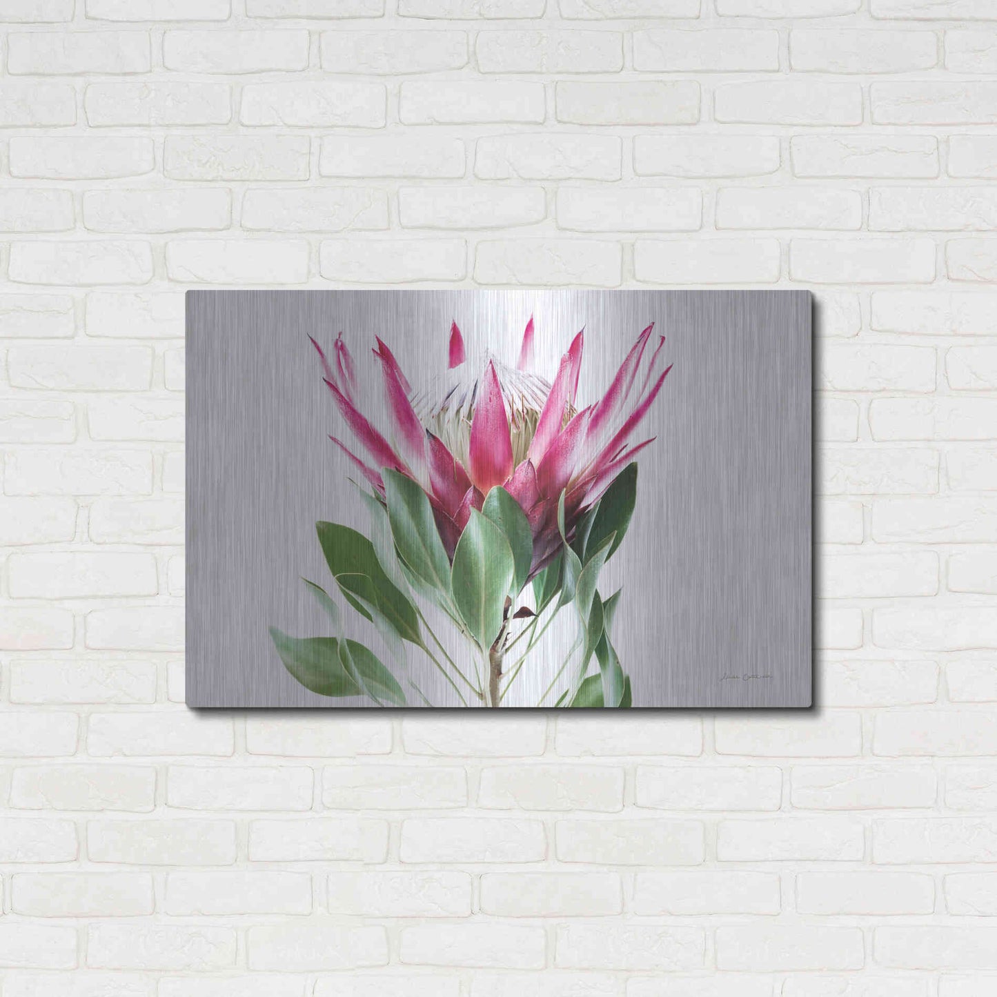 Luxe Metal Art 'Bold Protea I' by Elise Catterall, Metal Wall Art,36x24