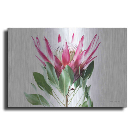 Luxe Metal Art 'Bold Protea I' by Elise Catterall, Metal Wall Art