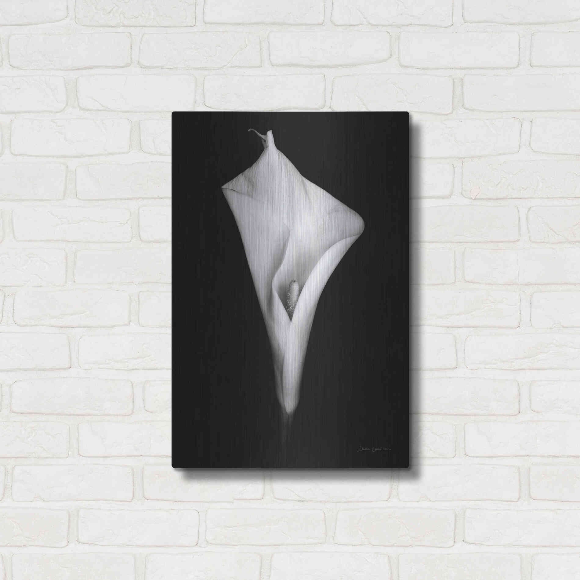 Luxe Metal Art 'Elegant Calla I' by Elise Catterall, Metal Wall Art,16x24
