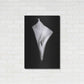 Luxe Metal Art 'Elegant Calla I' by Elise Catterall, Metal Wall Art,24x36
