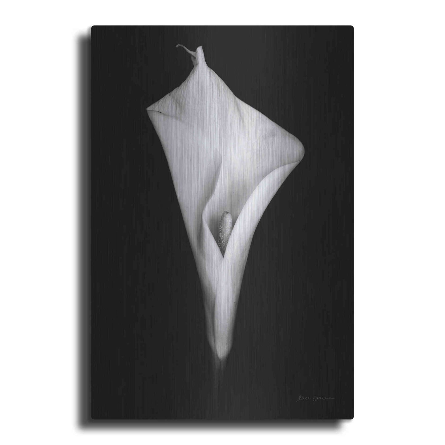Luxe Metal Art 'Elegant Calla I' by Elise Catterall, Metal Wall Art