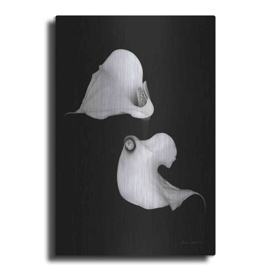 Luxe Metal Art 'Elegant Calla II' by Elise Catterall, Metal Wall Art