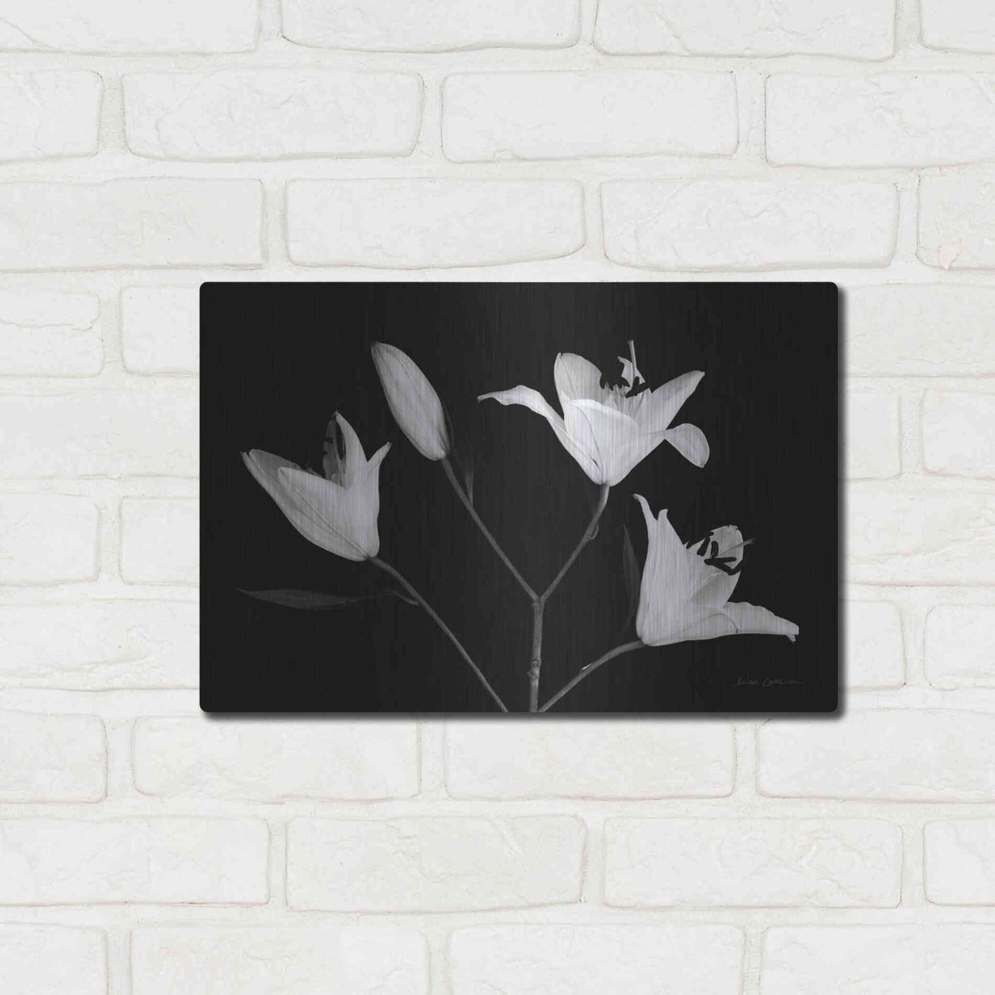Luxe Metal Art 'Spray of Lilies' by Elise Catterall, Metal Wall Art,16x12