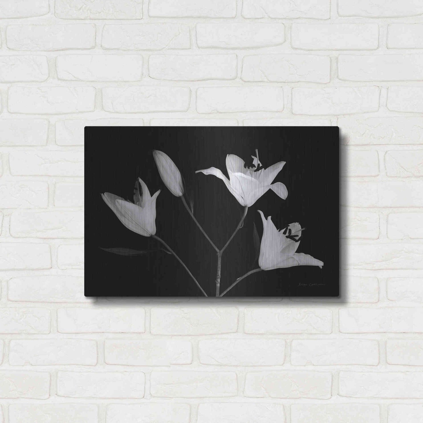 Luxe Metal Art 'Spray of Lilies' by Elise Catterall, Metal Wall Art,24x16