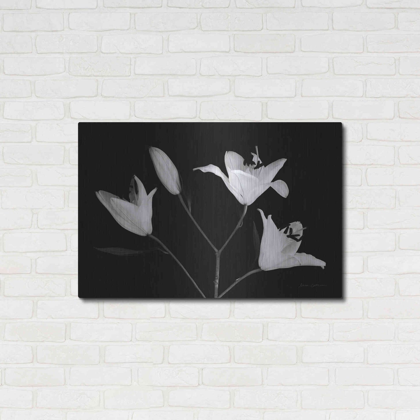 Luxe Metal Art 'Spray of Lilies' by Elise Catterall, Metal Wall Art,36x24