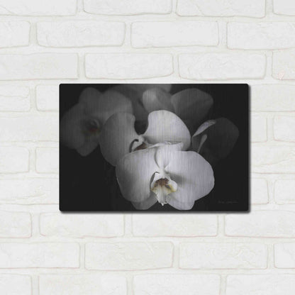 Luxe Metal Art 'White Orchid I' by Elise Catterall, Metal Wall Art,16x12