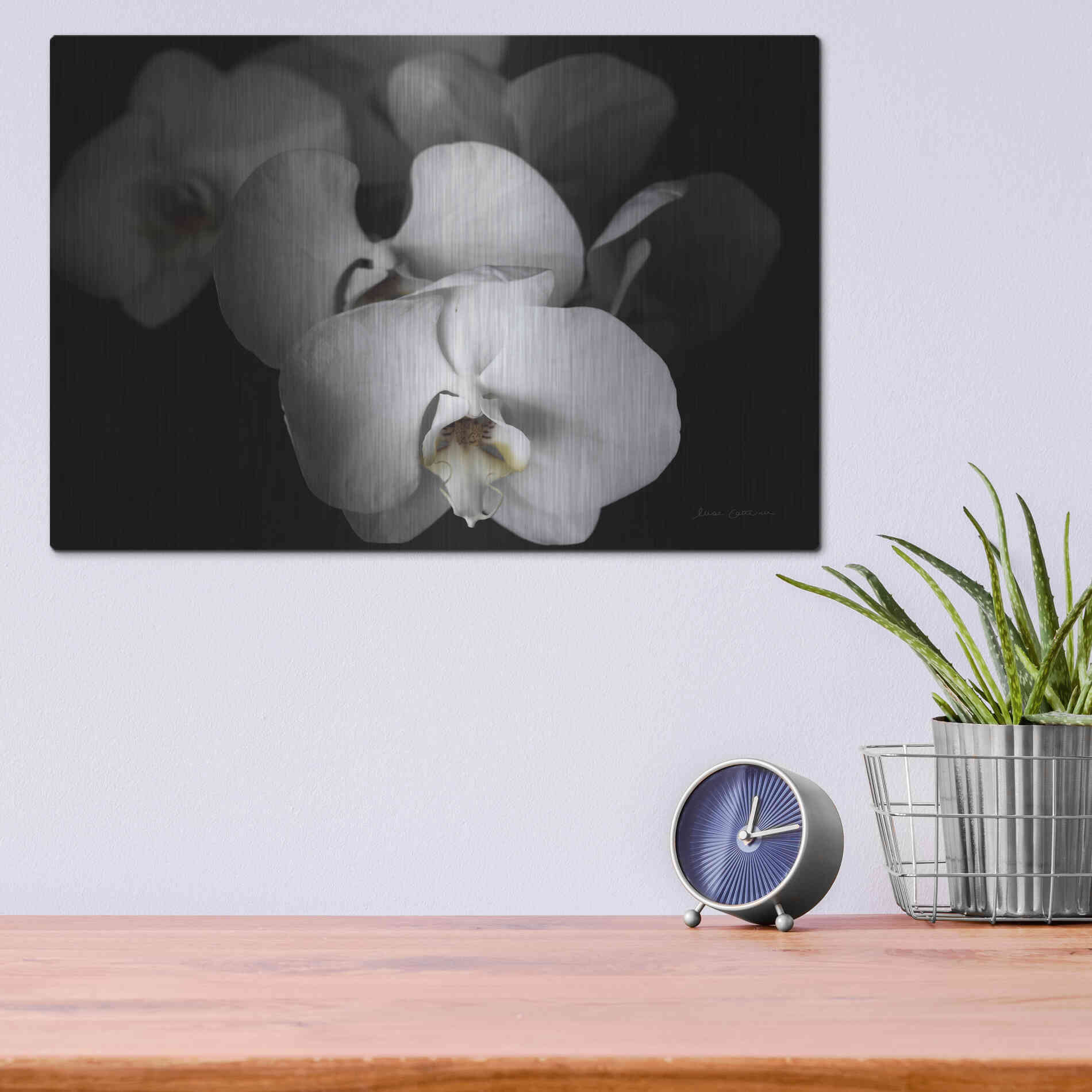 Luxe Metal Art 'White Orchid I' by Elise Catterall, Metal Wall Art,16x12