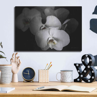 Luxe Metal Art 'White Orchid I' by Elise Catterall, Metal Wall Art,16x12