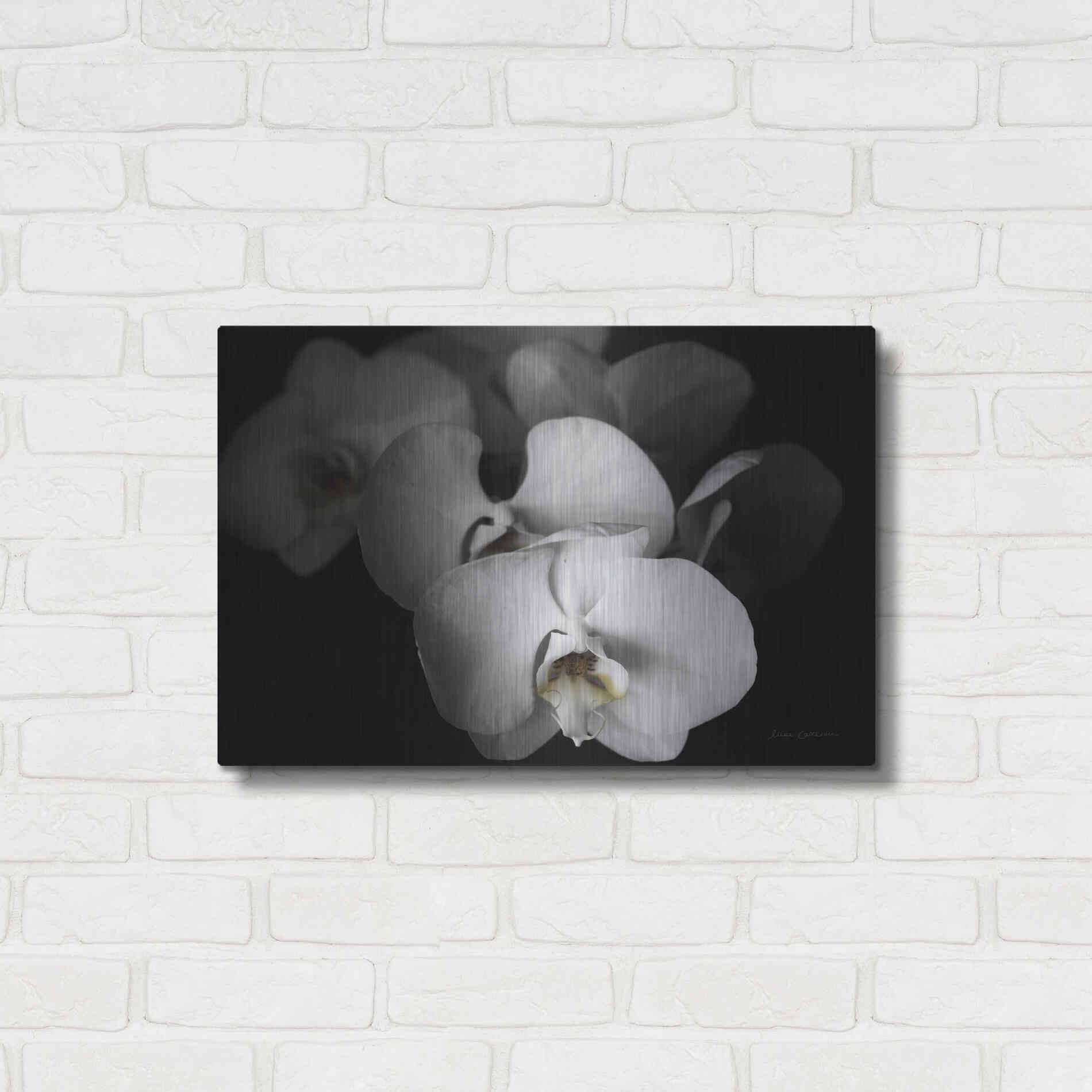 Luxe Metal Art 'White Orchid I' by Elise Catterall, Metal Wall Art,24x16