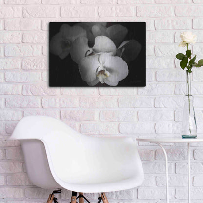 Luxe Metal Art 'White Orchid I' by Elise Catterall, Metal Wall Art,24x16