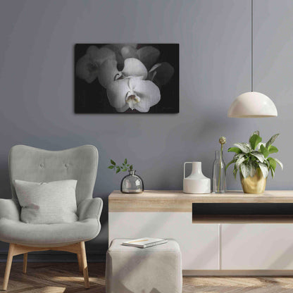 Luxe Metal Art 'White Orchid I' by Elise Catterall, Metal Wall Art,24x16