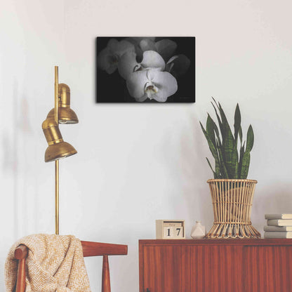 Luxe Metal Art 'White Orchid I' by Elise Catterall, Metal Wall Art,24x16