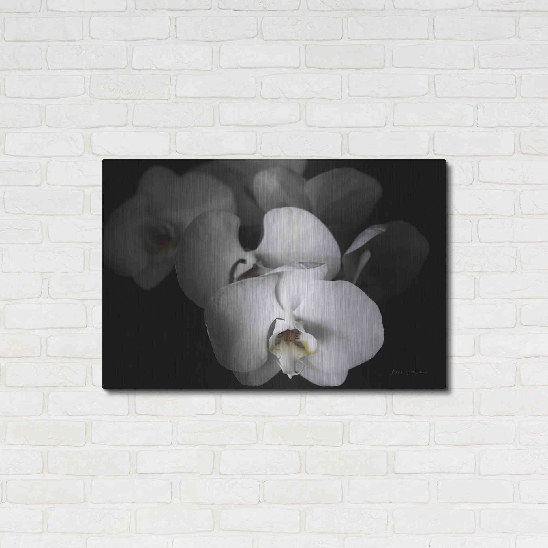 Luxe Metal Art 'White Orchid I' by Elise Catterall, Metal Wall Art,36x24