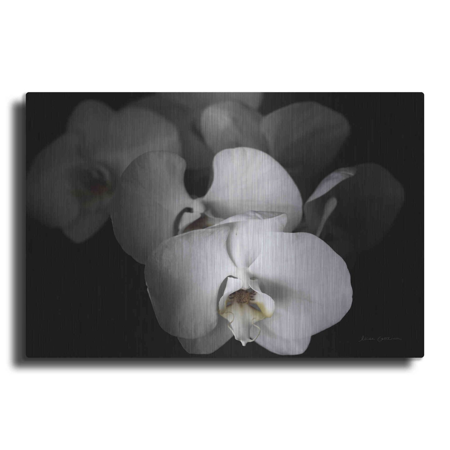 Luxe Metal Art 'White Orchid I' by Elise Catterall, Metal Wall Art