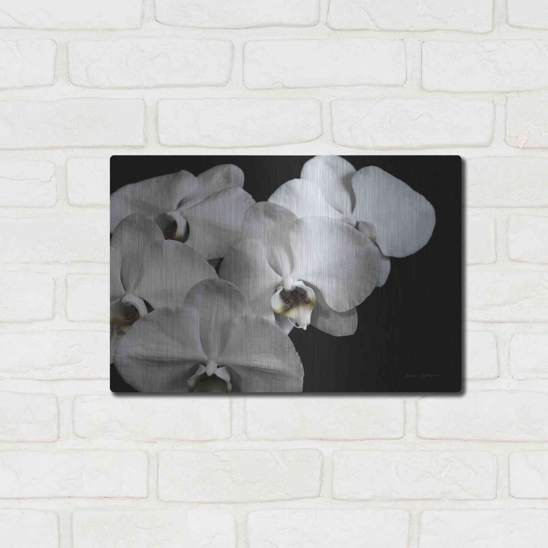 Luxe Metal Art 'White Orchid II' by Elise Catterall, Metal Wall Art,16x12