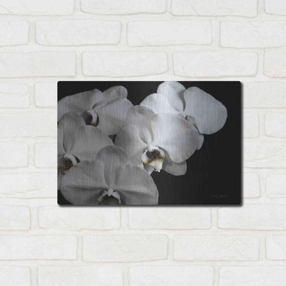 Luxe Metal Art 'White Orchid II' by Elise Catterall, Metal Wall Art,16x12