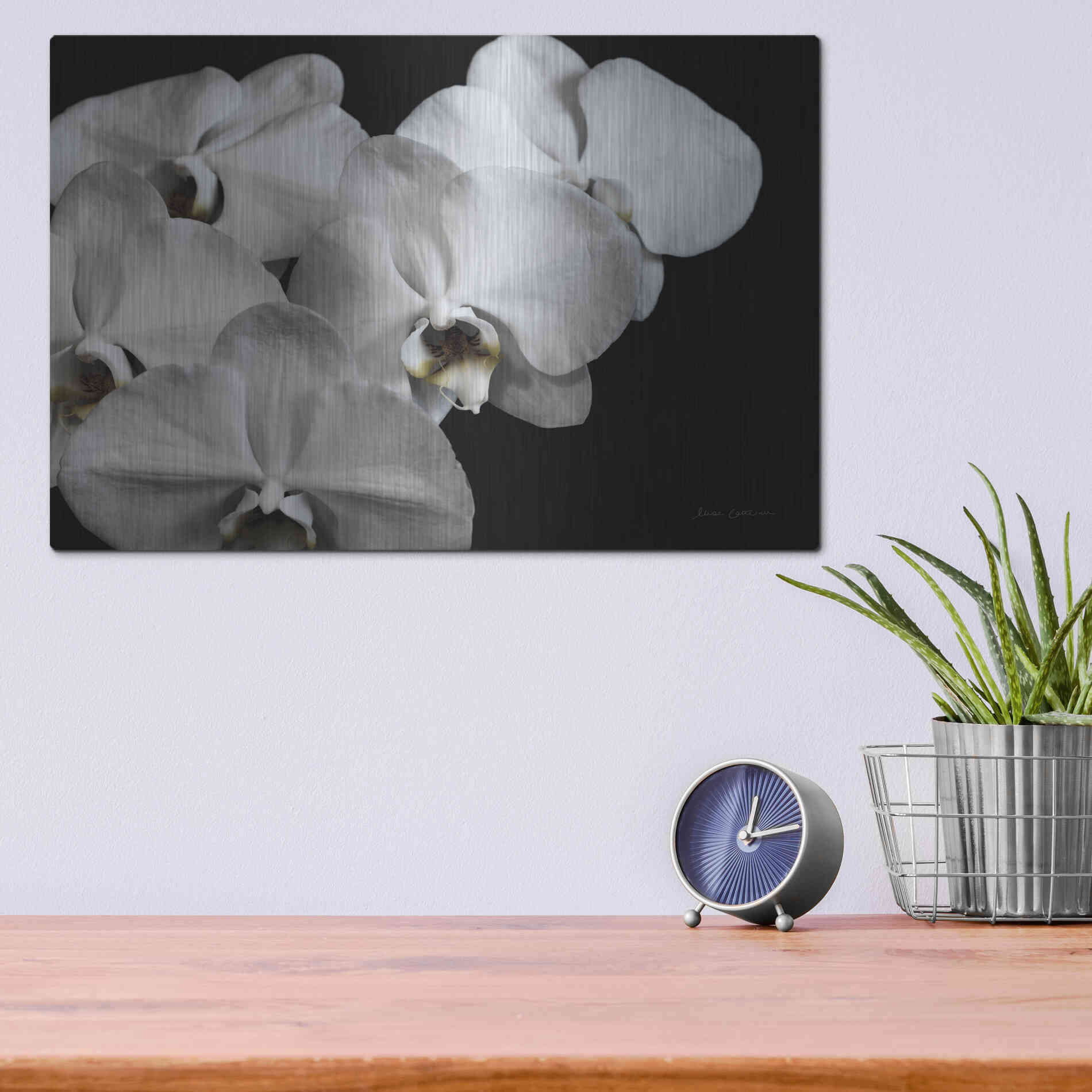 Luxe Metal Art 'White Orchid II' by Elise Catterall, Metal Wall Art,16x12