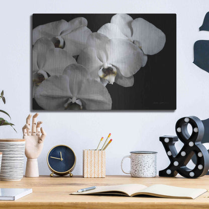 Luxe Metal Art 'White Orchid II' by Elise Catterall, Metal Wall Art,16x12