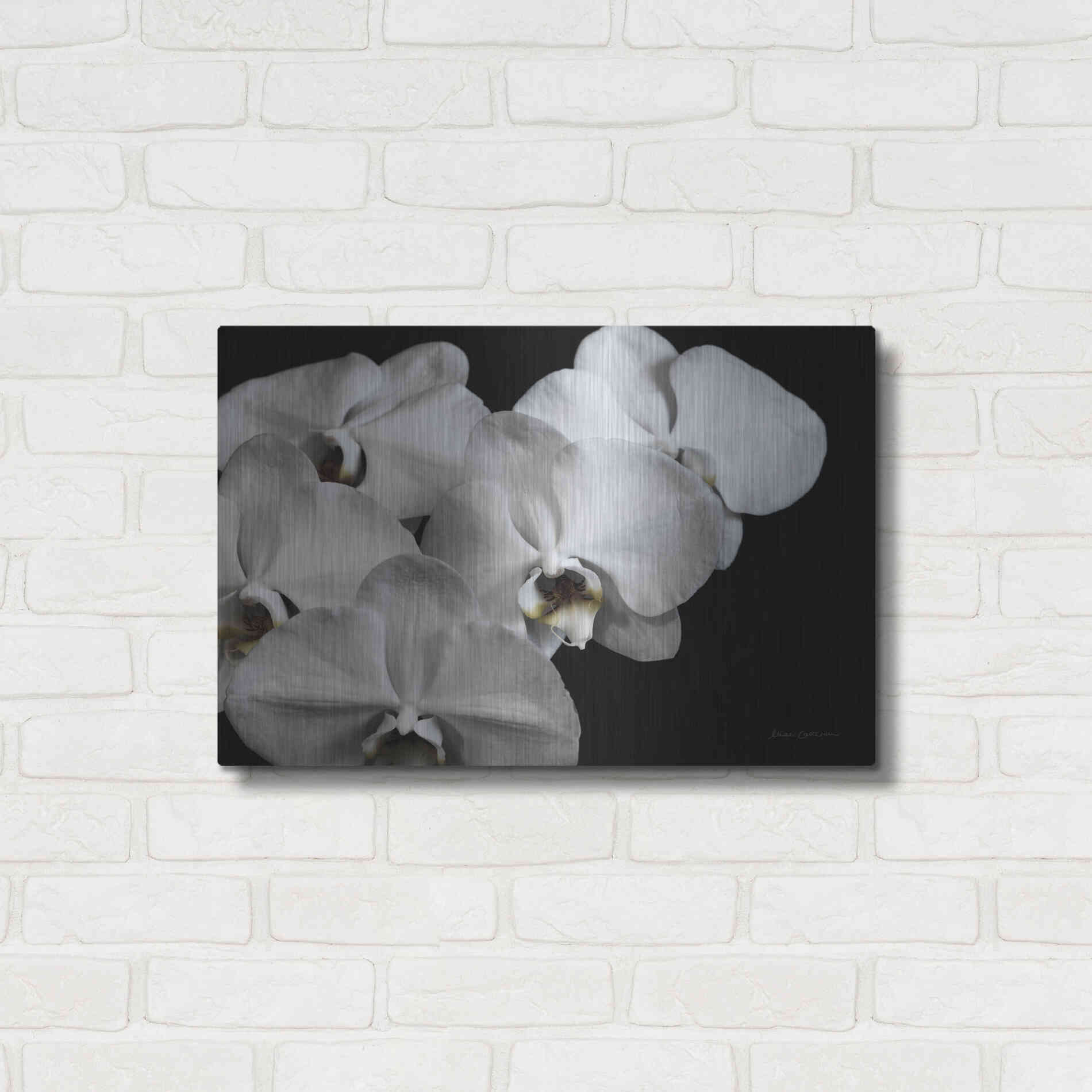 Luxe Metal Art 'White Orchid II' by Elise Catterall, Metal Wall Art,24x16